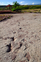 南米ボリビアの秘境、トロトロ渓谷の美しい地形と恐竜の足跡やUmajalanta鍾乳洞