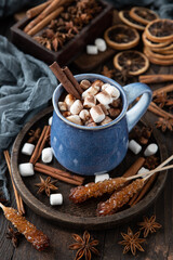 Winter hot drink, cacao with marshmallows and  cinnamon, spicy hot chocolate