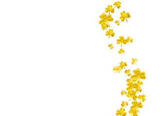 Shamrock background for Saint Patricks Day.  Lucky trefoil confetti. Glitter frame of clover leaves. Template for poster, gift certificate, banner. Merry shamrock background.