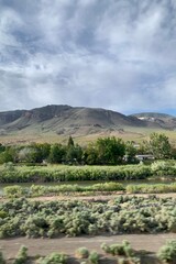 landscape with mountains