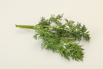 Aroma seasoning - Green Dill branch
