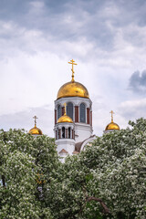 Fototapeta na wymiar Blooming apple tree against the background of the Orthodox Church and cloudy sky. Temple-on Blood, Yekaterinburg, Russia