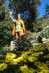 ボリビアのチチカカ湖に浮かぶ太陽の島に咲く花々