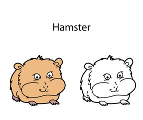 Funny cute animal hamster isolated on white background. Linear, contour, black and white and colored version of pet. Illustration can be used for coloring book and pictures for children