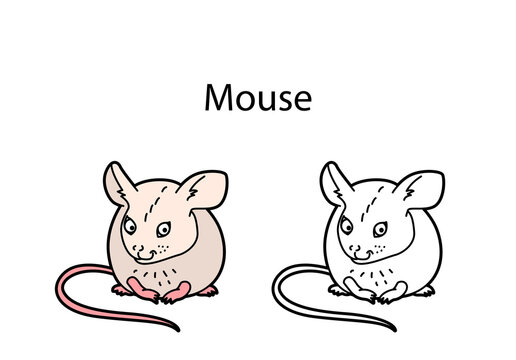 Funny cute animal mouse isolated on white background. Linear, contour, black and white and colored version of pet. Illustration can be used for coloring book and pictures for children