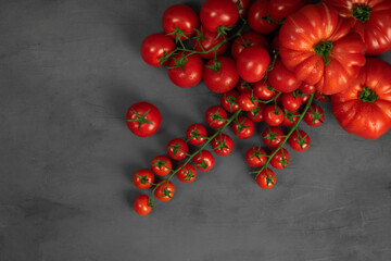 A group of different tomatoes on the vine on grey stone background. Concept for healthy nutrition. Symbolic image. Copy space.