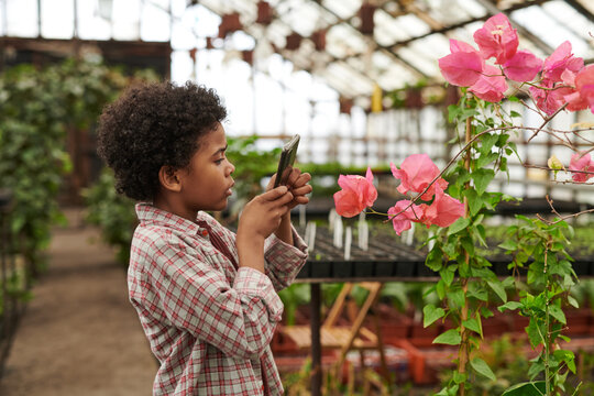 African little boy holding mobile phone and photographing the flower in the garden