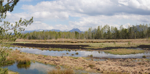 Wildes Moor bei Kolbermoor/Bad Feilnbach