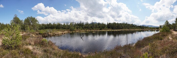 Wildes Moor bei Kolbermoor/Bad Feilnbach