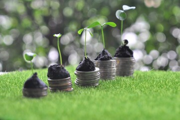 growth of tree on coin.Investment concept