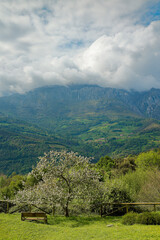 Picos de Europa taken from the viewpoint of the town of Asiego, Cabrales, Asturias, Spain