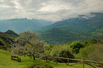 Picos de Europa taken from the viewpoint of the town of Asiego, Cabrales, Asturias, Spain