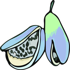 hand drawn vector illustration of an eggplant