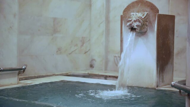 Traditional Turkish Bath and Pool With Leon Head 