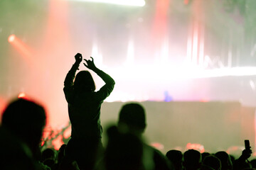 Rear view of crowd with arms outstretched at concert