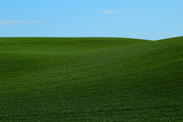 Agriculture landscape © Maciej Bonk