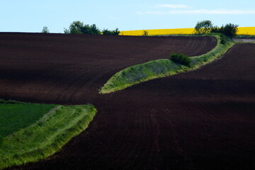 Agriculture landscape © Maciej Bonk