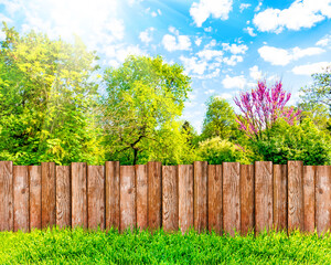 Wooden garden fence at backyard, green grass and blue sky with white clouds