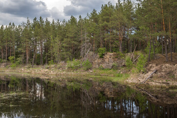 Obraz premium forest lake in the morning