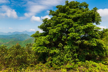 West Sai Kung Country park