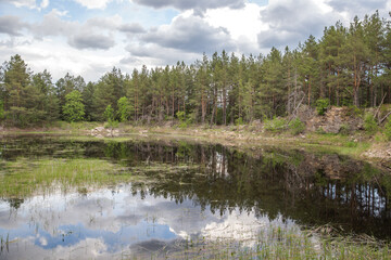 forest lake in the morning