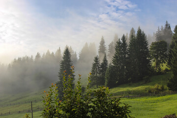 Foggy morning in Carpathian Mountains 