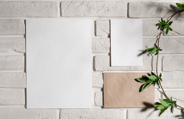 Moodboard template composition with blank paper cards on white brick wall with green branch. home organization, decoration, planning concept