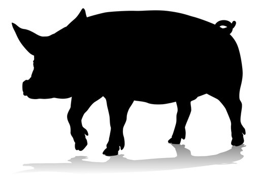 Pig Silhouette Farm Animal