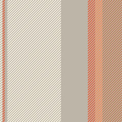 Stripes pattern vector background. Colorful stripe abstract texture.