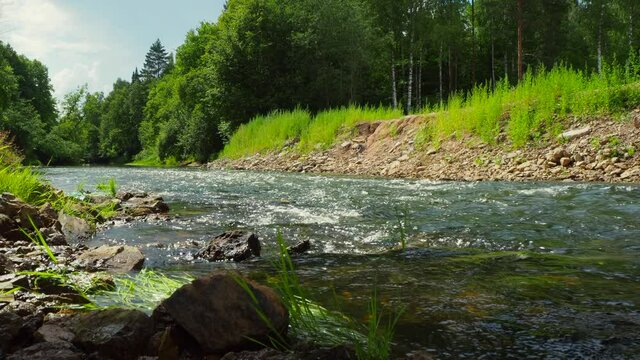 Rafting on the forest river on beautiful sunny summer days. Unique natural locations far from civilization.
Vacation on the forest river.