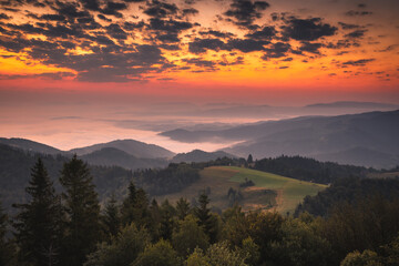 Obraz premium Summer morning seen from the observation tower in Koziarz in the Beskid Sądecki. Natural landscapes with great views.