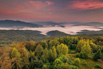 Summer morning seen from the observation tower in Koziarz in the Beskid Sądecki. Natural landscapes with great views.