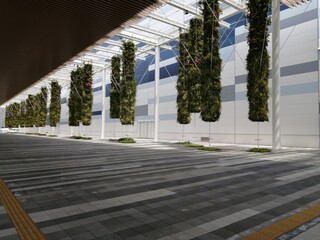 国際展示場