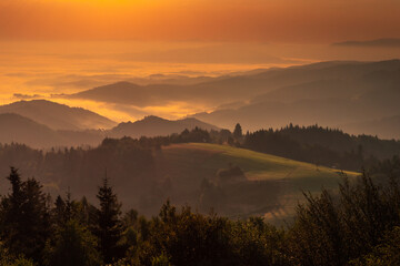 Summer morning seen from the observation tower in Koziarz in the Beskid Sądecki. Natural landscapes with great views.