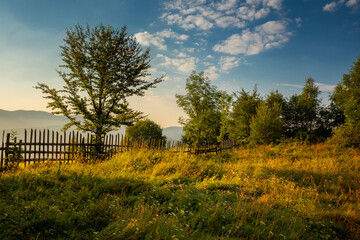 Obraz premium Summer morning seen from the observation tower in Koziarz in the Beskid Sądecki. Natural landscapes with great views.