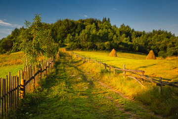 Summer morning seen from the observation tower in Koziarz in the Beskid Sądecki. Natural landscapes with great views.