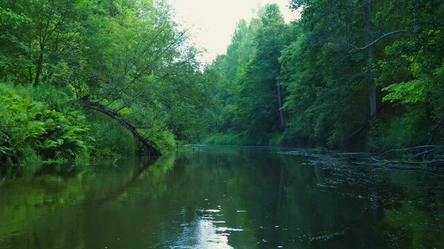 Rafting on the forest river on beautiful sunny summer days. Unique natural locations far from civilization.
Vacation on the forest river.