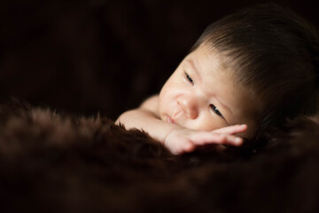 Cute Asian newborn baby on brown fur blanket background.
Nice portrait of little child boy.