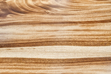 Texture of live edge suar wood slab closeup as background