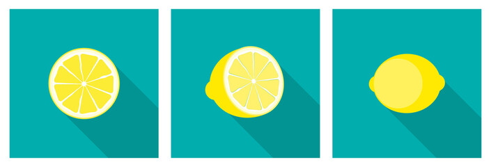 Lemon Icon with Long Shadow collection set. Vector Illustration