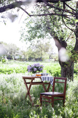 tea party in the garden - 434268221