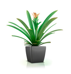 Основные RGB