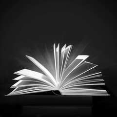 monochrome background open book
