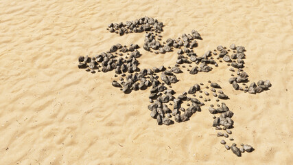 Concept conceptual stones on beach sand handmade symbol shape, golden sandy background, aquarius zodiac sign. 3d illustration symbol for  esoteric, the mystic, the power of prediction of astrology