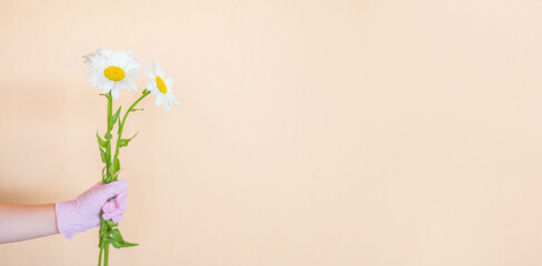 a hand in a rubber glove holds a bouquet of flowers on a light background. copy space