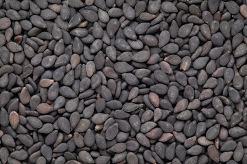 micro Close-Up of Organic Black Sesame seeds (Sesamum indicum) or Black Til with shell Full-Frame Background.  Top View