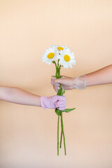 Two  hand in a rubber glove holds a bouquet of flowers on a light background