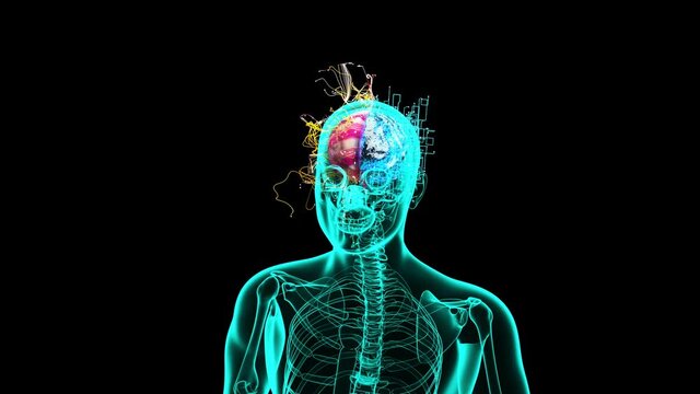 Abstract background of Xray Man walking with left and right Brain