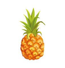 Pineapple, bright tropical fruit, food vector illustration