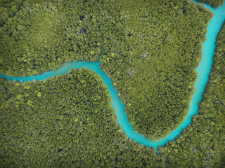 Aerial view above Mangrove forest of Thailand. Taken by drone photography